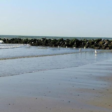 Sunny Bank Westende Zeezicht Middelkerke Exteriér fotografie