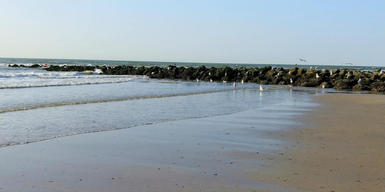Sunny Bank Westende Zeezicht Middelkerke Exteriér fotografie
